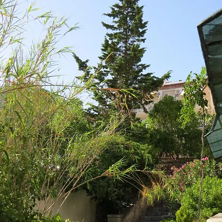 Cypress House *